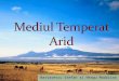 Mediul temperat arid 11 c