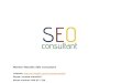 Seo consultant services v.10