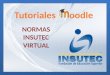 Normas Insutec Virtual