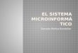 El sistema microinformático