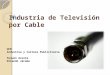 Industria de Televisión por Cable