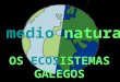 Ecosistemas galegos