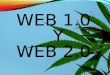 Web1.0 y2.0