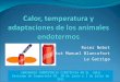 C5-Calor, temperatura y adaptaciones de los animales endotermos