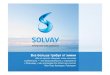 Solvay group presentation