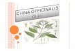 China officinalis