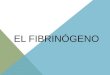 El fibrinógeno