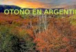 Andres Stangalini - Otono en argentina