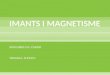Imants i magnetisme