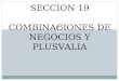 Sección 19 combinaciones de negocios y plusvalia