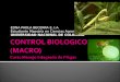 75820607 control-biologico-macro