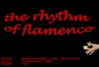 flamencos rhythm