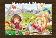 Harvest Moon - Grand Bazaar (Villagers)