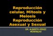 Reproducción Celular, Mitosis y Meiosis [MONTALVO]