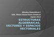 Estructuras algebraicas, vectores y espacios vectoriales(4)