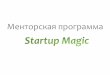 Менторская программа Startup Magic