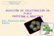 Práctica6 proteína c reactiva
