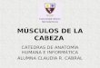 Musculos De Cabeza
