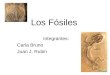 Los fósiles juan y carla