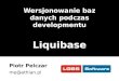 Liquibase - database structure versioning