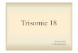 Trisomie 18 Ppt