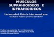 Musculos Suprahioideos  E Infrahioideos