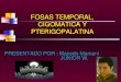 Fosas temporal, cigomatica y pterigopalatina