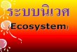 ระบบนิเวศ (Ecosystem)