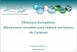 Eficiencia Enerergética: Mecanismo rentable para reducir emisiones de carbono, Daniela Zaviezo
