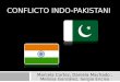 Conflicto indo pakistani (1)
