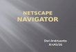 Netscape navigator
