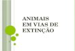 Os animais em vias de extinção