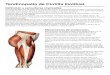 Tendinopatía de Cintilla Iliotibial (Resumen)