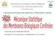 Mécanique statistiques des membranes biologiques