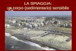 Waterfront Roma: la spiaggia, un corpo (sedimentario) sensibile
