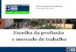 Escolha da profissão e mercado de trabalho - Edison Paulo de Ros Triboli