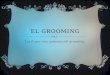 El grooming (1)