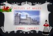 Castles of wales