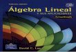 Álgebra lineal y sus aplicaciones david c lay 3ra edición