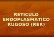 reticulo endoplastmatico rugoso