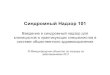 SS101: Module 1 Russian Translation