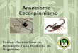 Aracnoidismo  & Escorpionismo