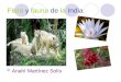 Anahí flora y fauna de la india