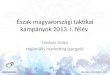 Molnár Anita   Észak-magyarországi taktikai kampányok 2013. i. félév