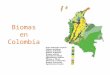 Biomas de colombia