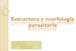 Estructura y morfología  parasitaria integral 2012