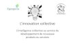Egregoria initie à l'innovation collective 2014