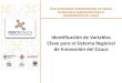 Identificación de Variables Clave para el Sistema Regional de Innovación del Cauca