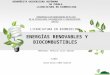Energías renovables y biocombustibles