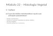 Módulo 22 – histologia vegetal